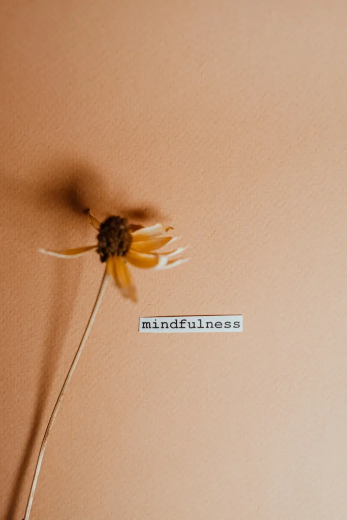 A single pink flower on a brown background with the word "mindful" in the middle. Aesthetic wallpaper