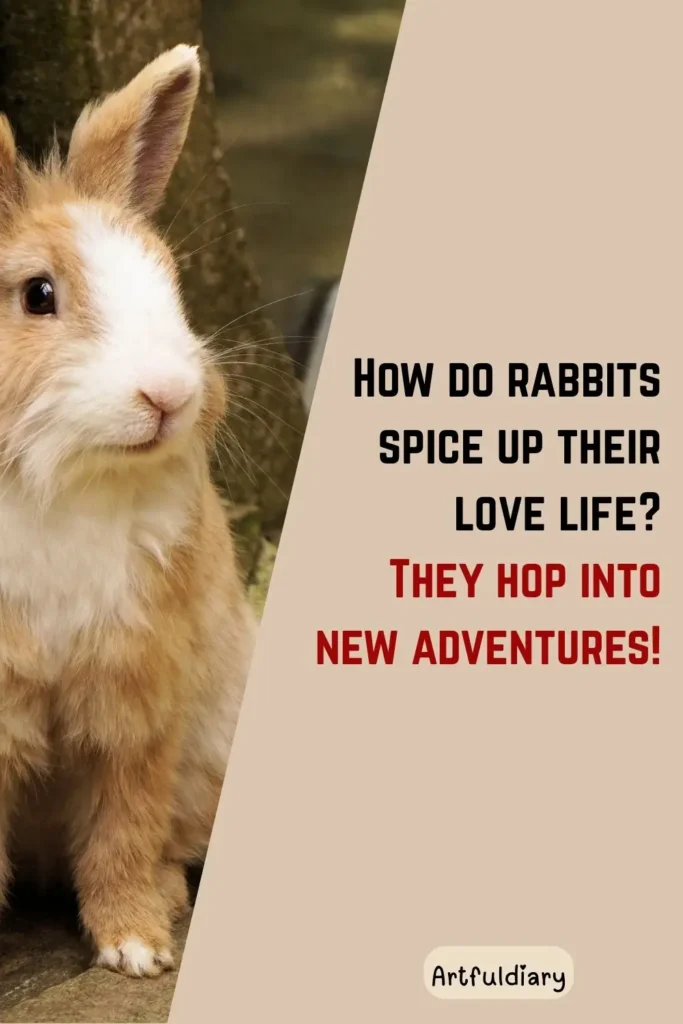 How do rabbits spice up their love life? They hop into new adventures! rabbit puns