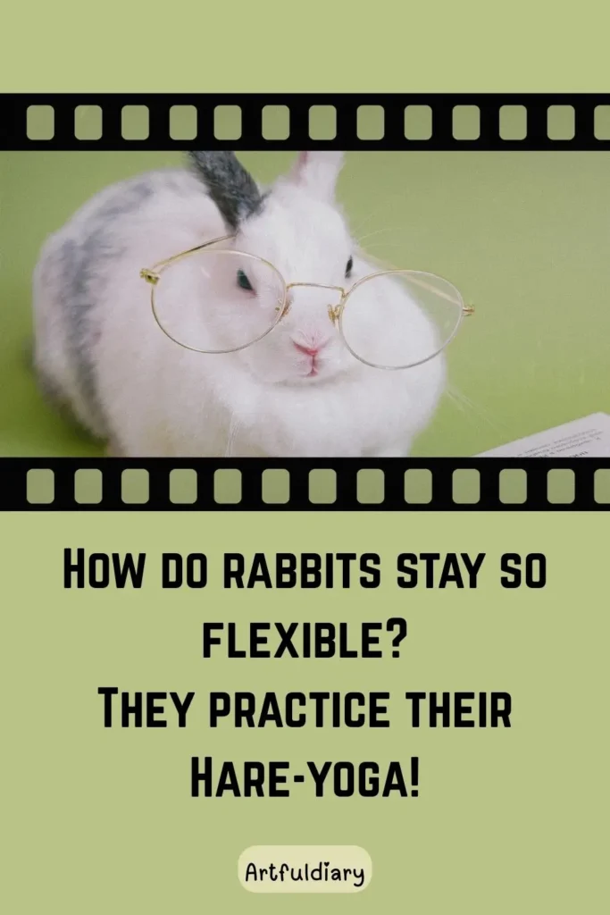 How do rabbits stay so flexible? They practice their Hare-yoga! rabbit puns