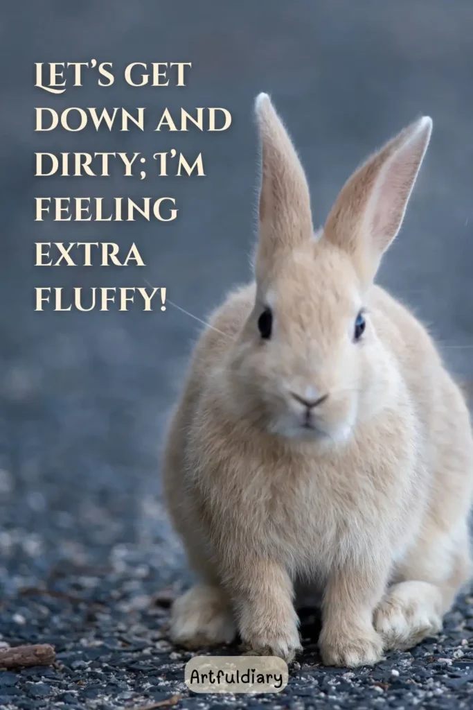 Let’s get down and dirty; Im feeling extra fluffy!,rabbit puns