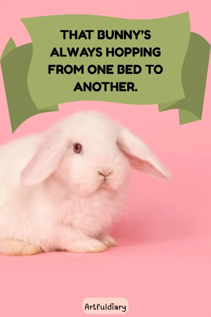 That bunny’s always hopping from one bed to another, rabbit puns
