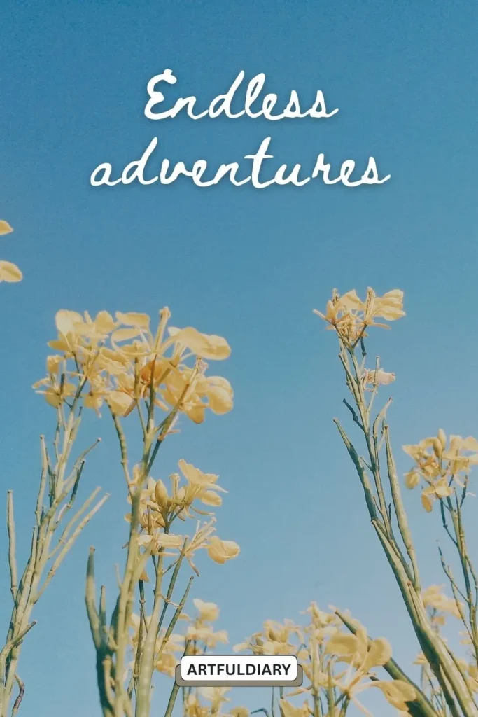 Endless adventures, quotes ,quotes with 2 words