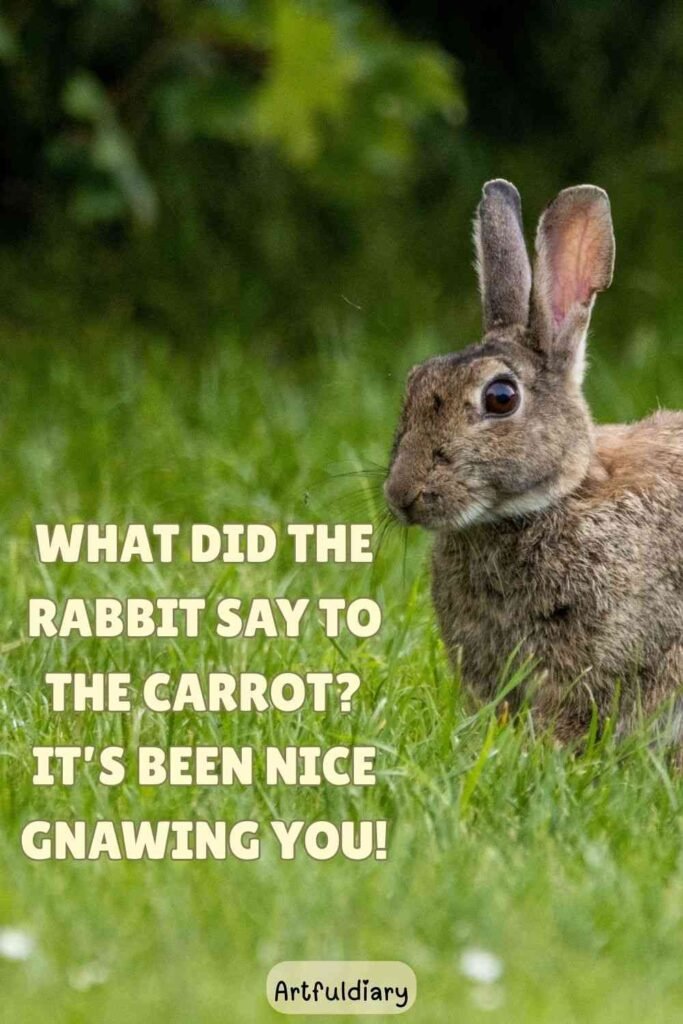 What did the rabbit say to the carrot? It’s been nice gnawing you! rabbit puns