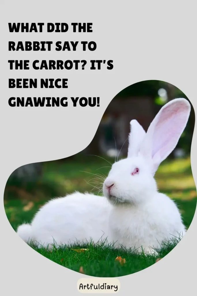What did the rabbit say to the carrot? It’s been nice gnawing you! rabbit puns