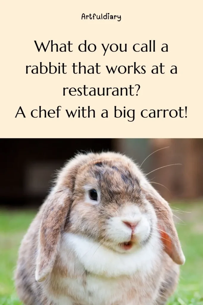 What do you call a rabbit that works at a restaurant? A chef with a big carrot! rabbit puns
