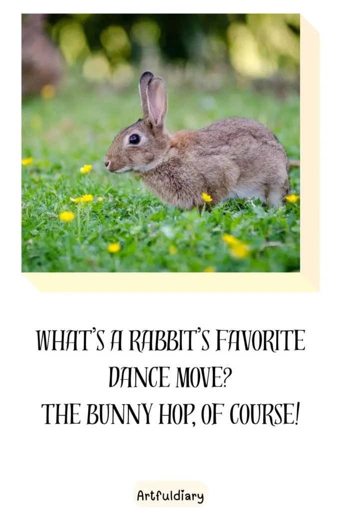 What’s a rabbit’s favorite dance move? The bunny hop, of course! rabbit puns