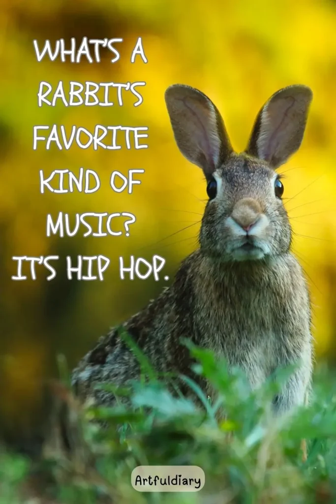 What’s a rabbit’s favorite kind of music? it’s Hip hop, rabbit puns