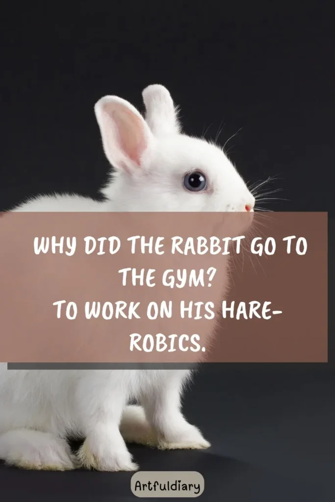 Why did the rabbit go to the gym? To work on his hare-robics, rabbit puns