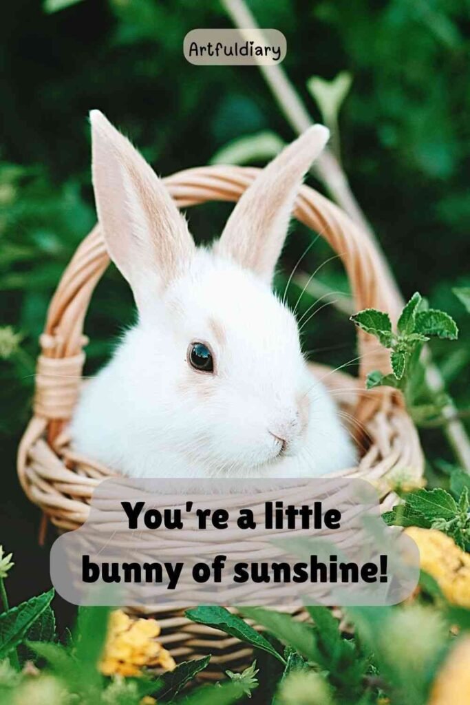 You’re a little bunny of sunshine! rabbit puns