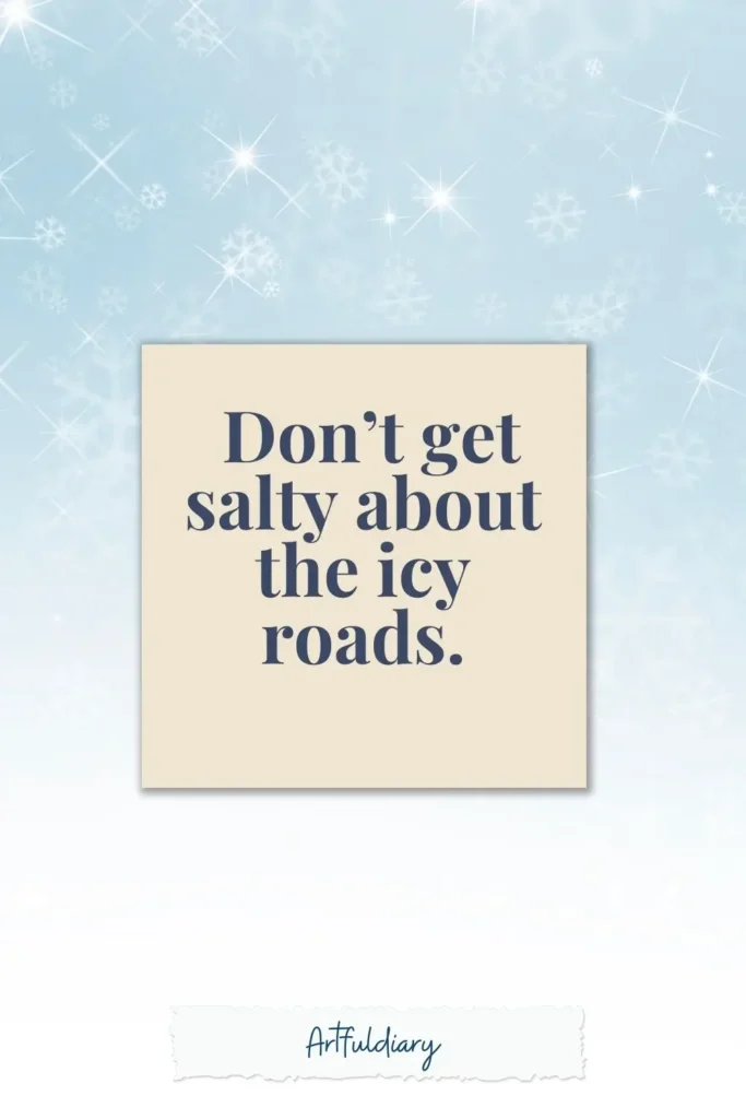 Don’t get salty about the icy roads. snow puns