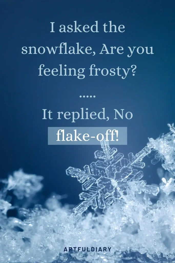 I asked the snowflake, Are you feeling frosty ..... It replied, No flake-off, snow puns