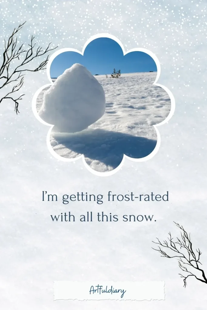 I’m getting frost-rated with all this snow , snow puns