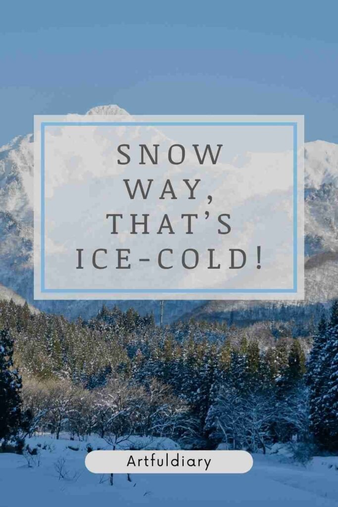 Snow way, that’s ice-cold!, snow puns