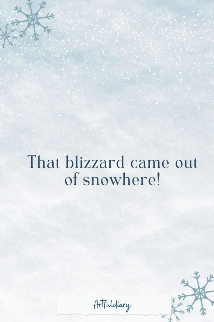 That blizzard came out of snowhere! , snow puns