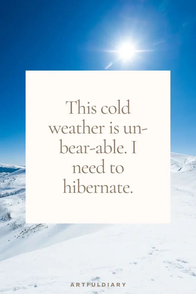 This cold weather is un-bear-able. I need to hibernate. snow puns