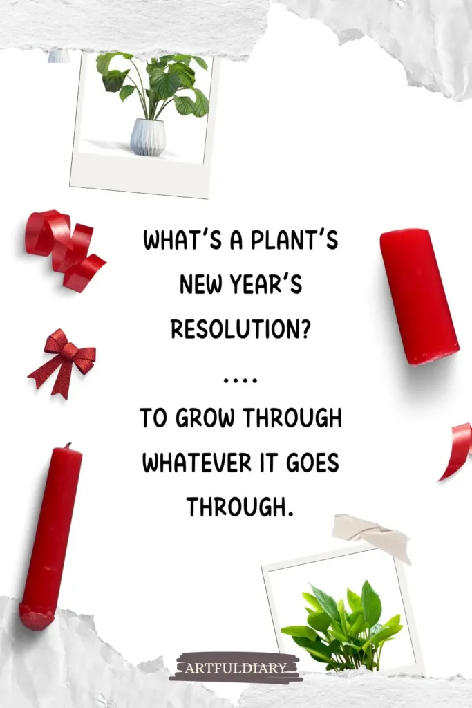 What’s a plant’s New Year’s resolution? .... To grow through whatever it goes through, new year puns