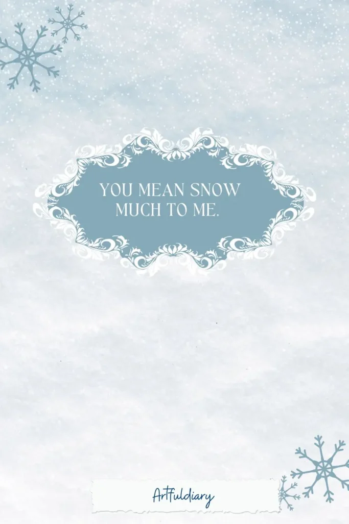 You mean snow much to me, snow puns