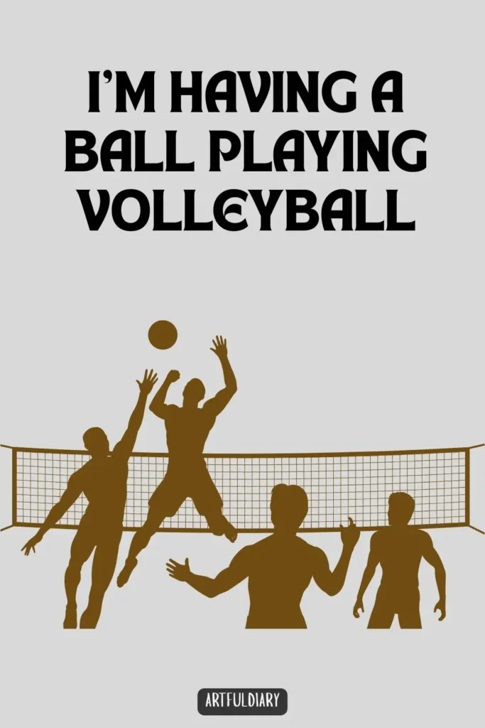 I’m having a ball playing volleyball, Volleyball Puns