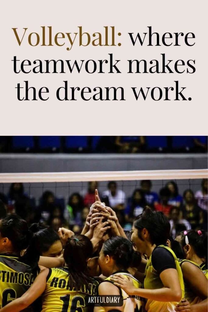 Volleyball: where teamwork makes the dream work, Volleyball Puns