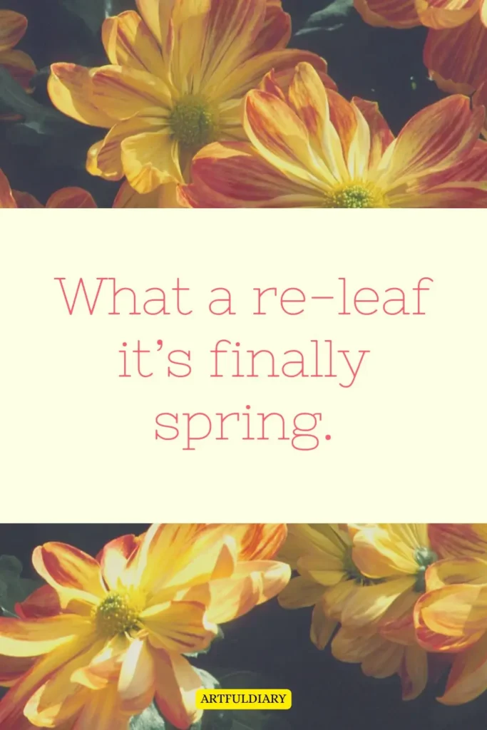 What a re-leaf it’s finally spring, spring puns