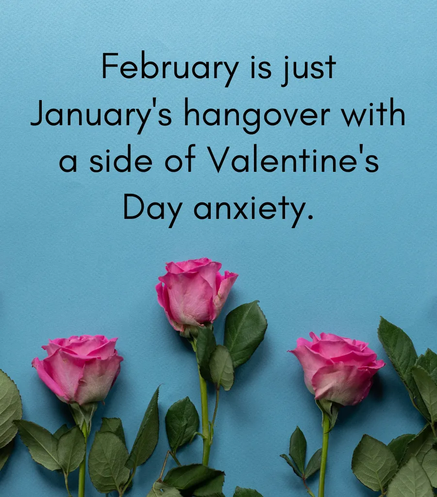 Funny February Quotes_