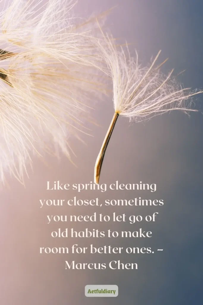 Like spring cleaning your closet, sometimes you need to let go of old habits to make room for better ones. – Marcus Chen quotes