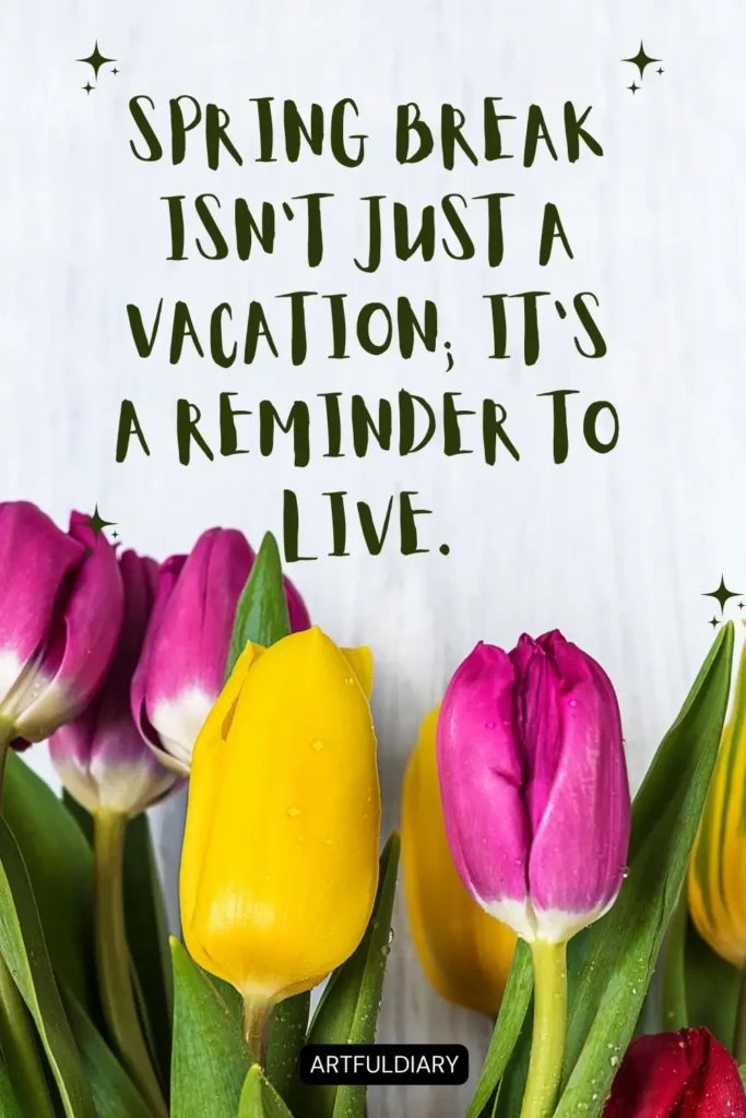 Spring break isn’t just a vacation; it’s a reminder to live. quotes