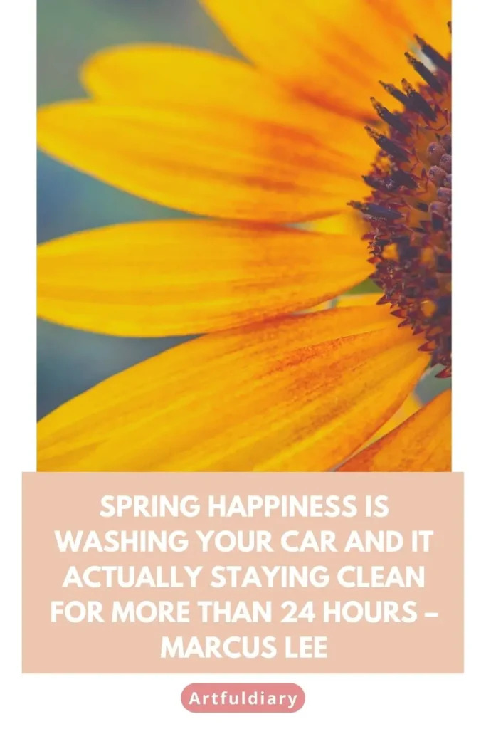 Spring happiness is washing your car and it actually staying clean for more than 24 hours – Marcus Lee quotes