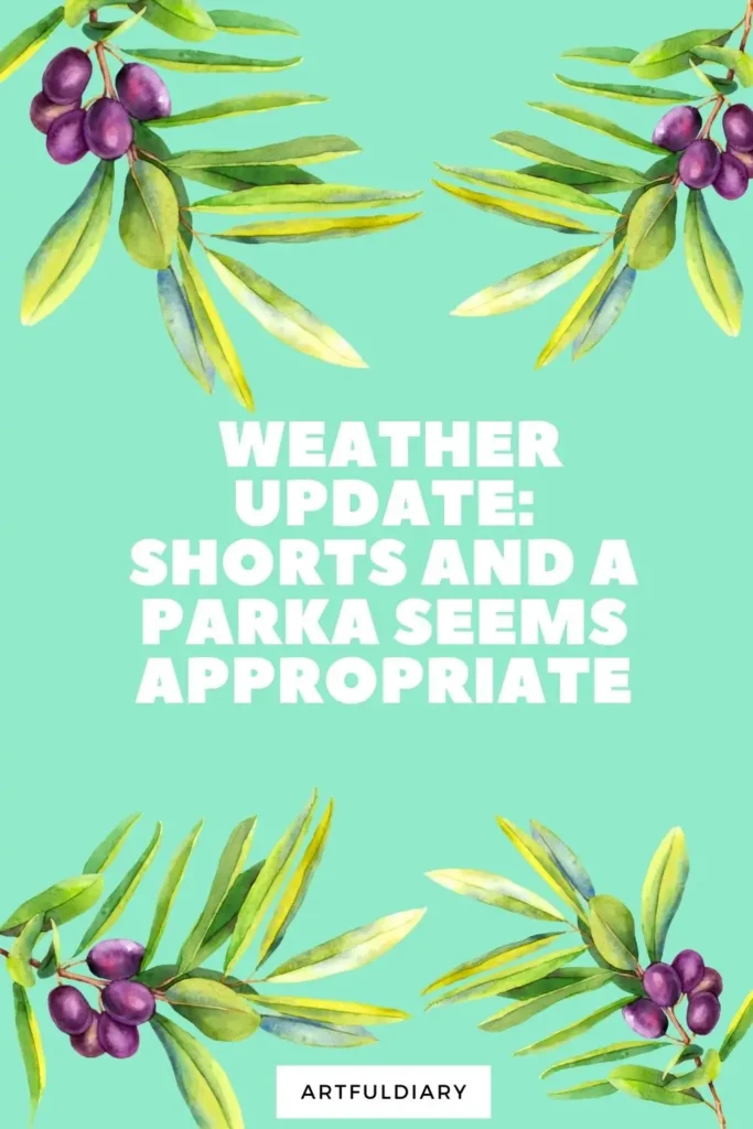 Weather Update:Shorts and a parka seems appropriate quotes