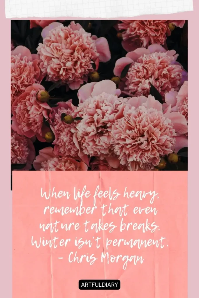 When life feels heavy, remember that even nature takes breaks. Winter isn’t permanent. – Chris Morgan quotes