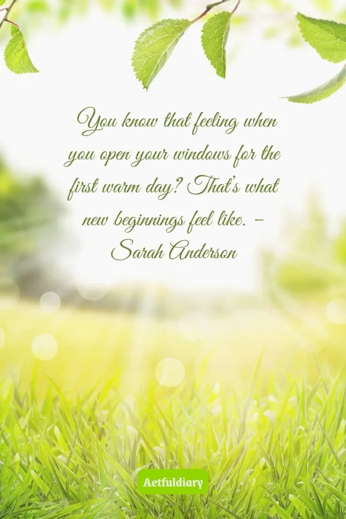 You know that feeling when you open your windows for the first warm day_ That’s what new beginnings feel like. – Sarah Anderson. Spring Quotes