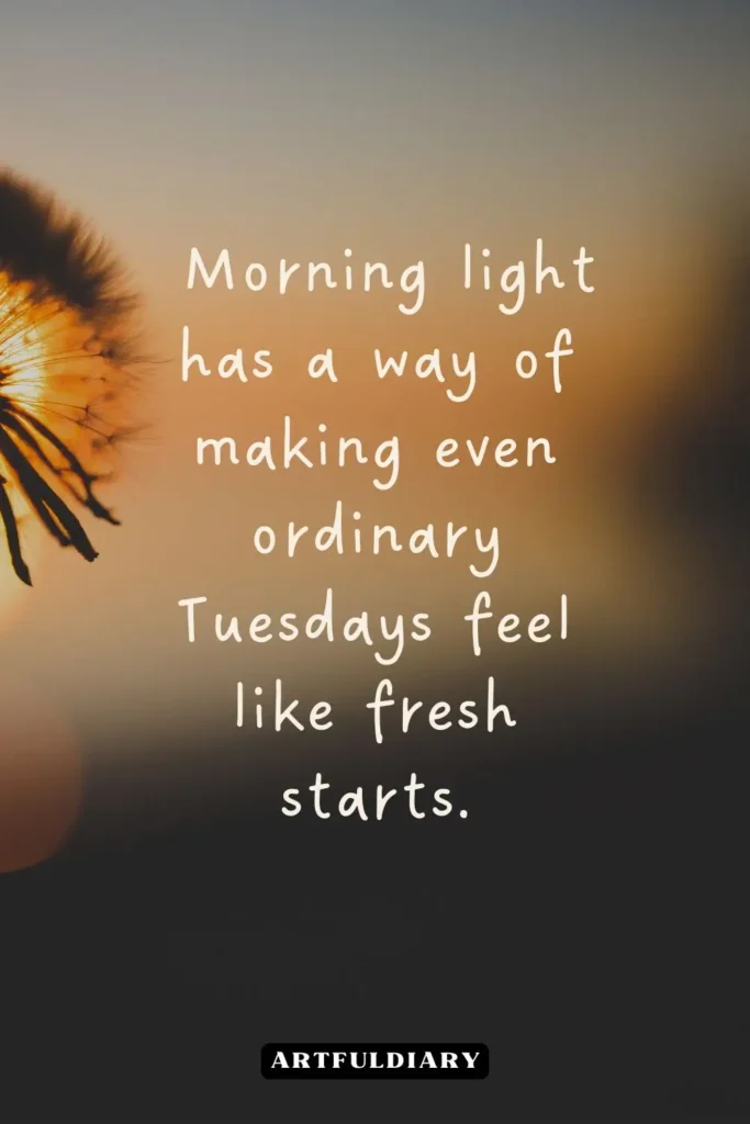 Morning light has a way of making even ordinary Tuesdays feel like fresh starts, quotes