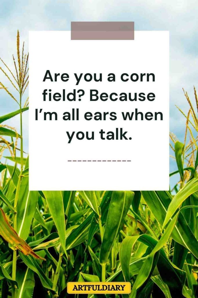 Are you a corn field? Because I’m all ears when you talk, corn puns