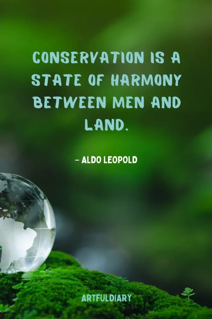 Conservation is a state of harmony between men and land. quotes