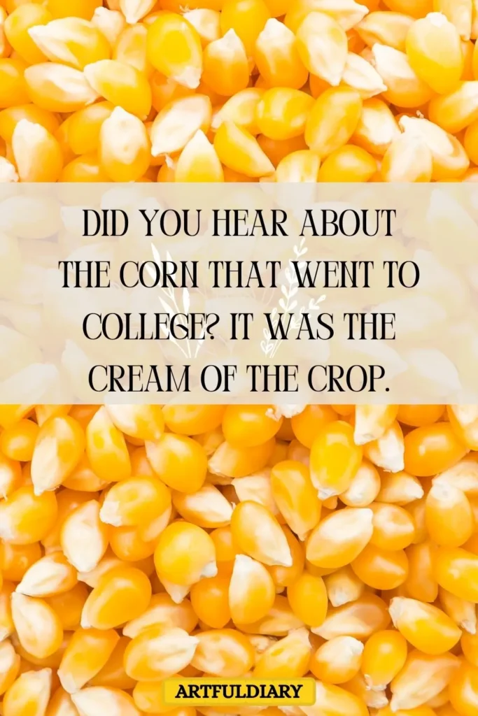 Did you hear about the corn that went to college? It was the cream of the crop, corn puns