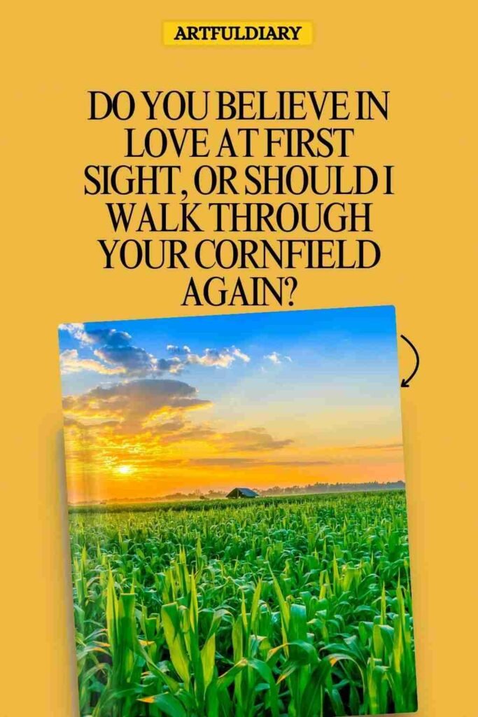 Do you believe in love at first sight, or should I walk through your cornfield again_ corn puns