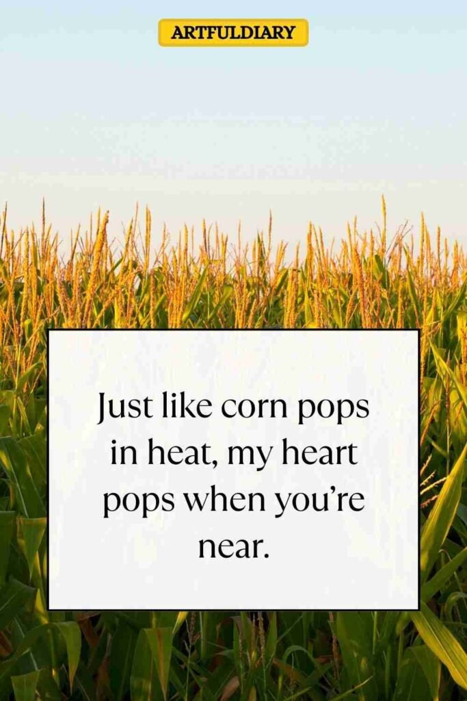 Just like corn pops in heat, my heart pops when you’re near, corn puns