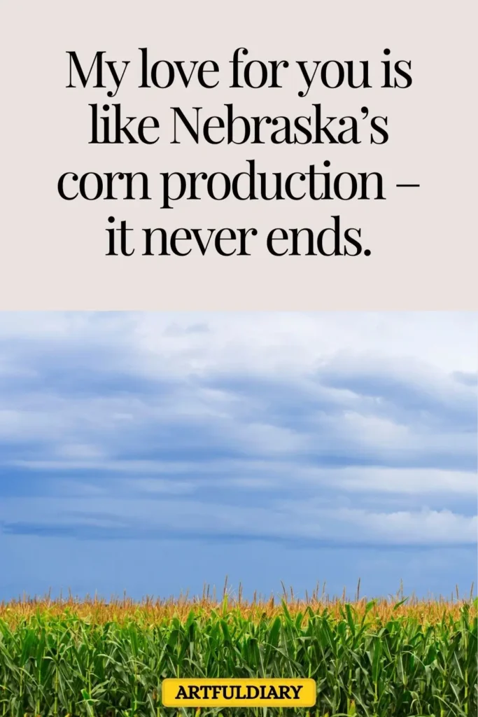 My love for you is like Nebraska’s corn production – it never ends, corn puns