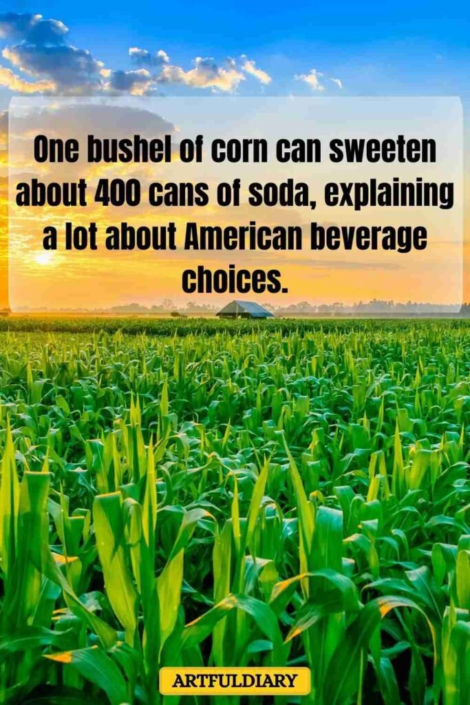 One bushel of corn can sweeten about 400 cans of soda, explaining a lot about American beverage choices, corn puns