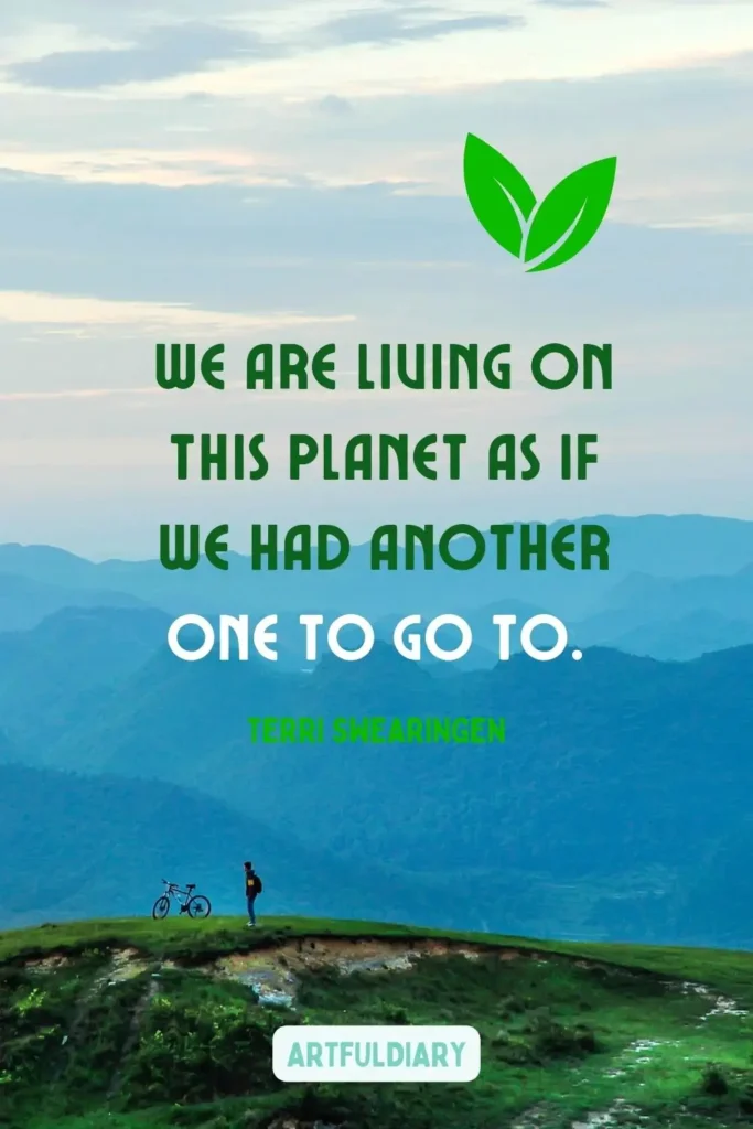 We are living on this planet as if we had another one to go to, quotes
