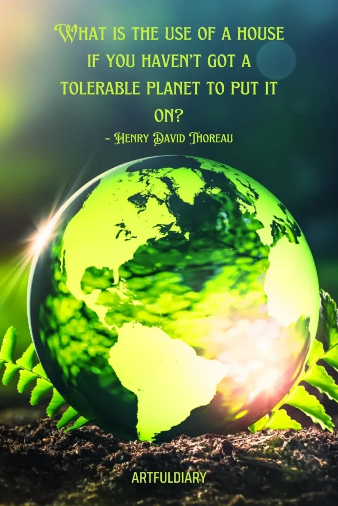 What is the use of a house if you haven’t got a tolerable planet to put it on? quotes.