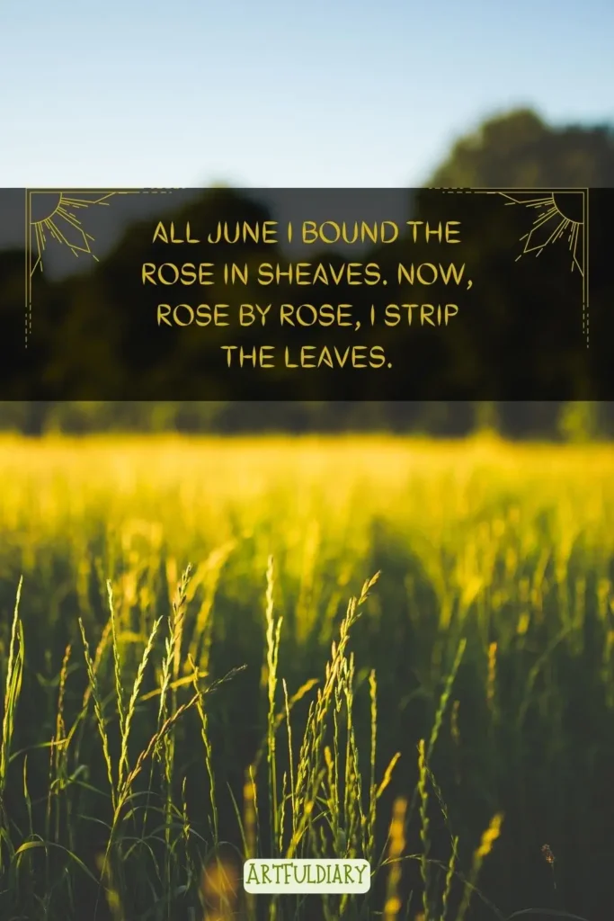 All June I bound the rose in sheaves. Now, rose by rose, I strip the leaves. Quotes