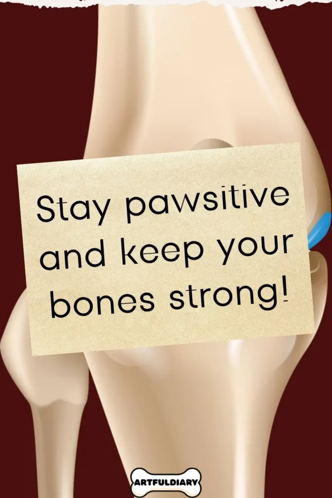 Stay pawsitive and keep your bones strong! Bone Puns
