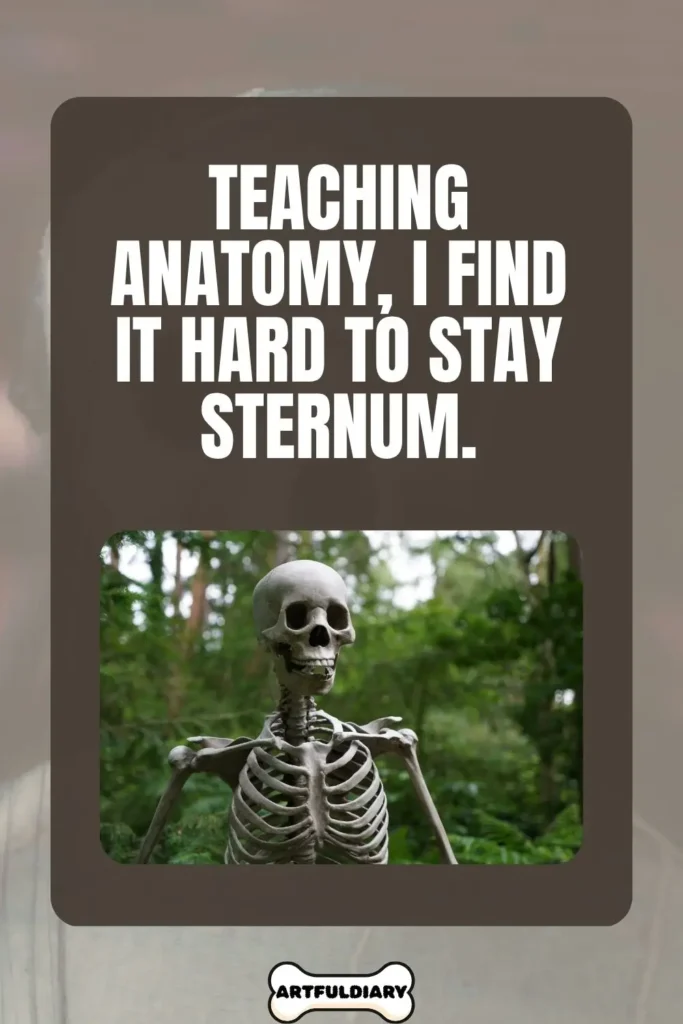 Teaching anatomy, I find it hard to stay sternum, Bone Puns