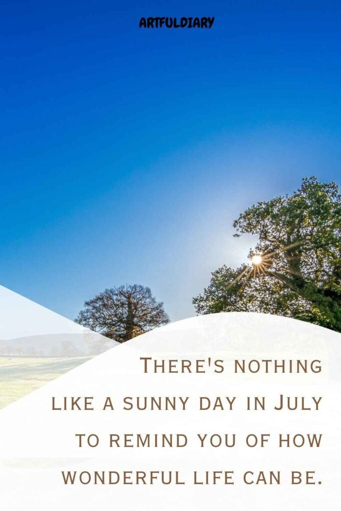 There's nothing like a sunny day in July to remind you of how wonderful life can be, Quotes.