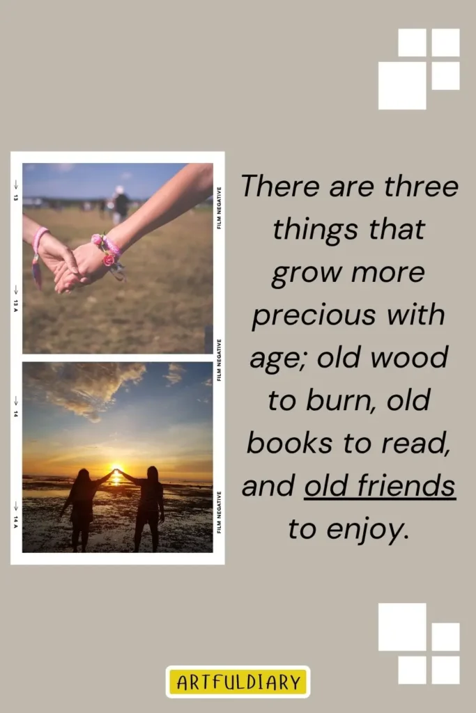 There are three things that grow more precious with age; old wood to burn, old books to read, and old friends to enjoy, best friendship day quotes