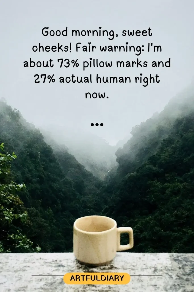 Good morning, sweet cheeks! Fair warning_ I'm about 73% pillow marks and 27% actual human right now, cute good morning quotes funny hilarious