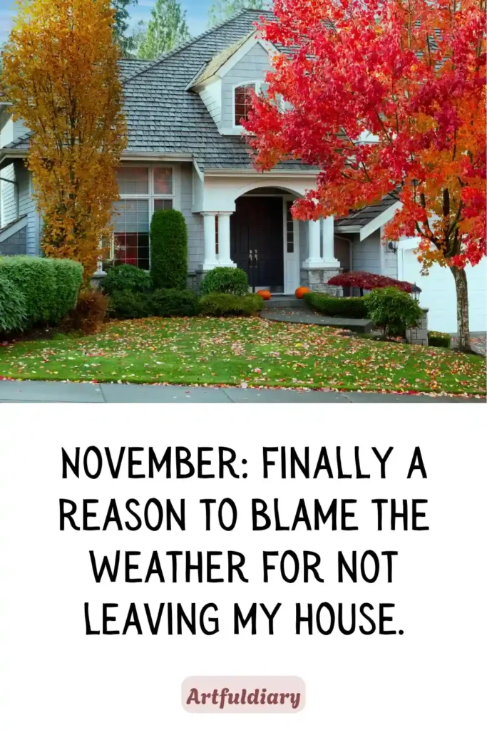 November_ finally a reason to blame the weather for not leaving my house, hello november quotes funny