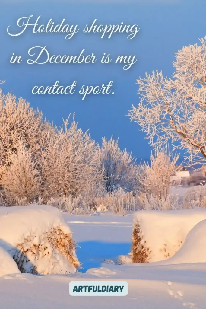 Holiday shopping in December is my contact sport, hello december aesthetic quotes funny